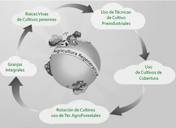 Agricultura de Regenerativa y sus Aplicaciones al Medio Latino Americano